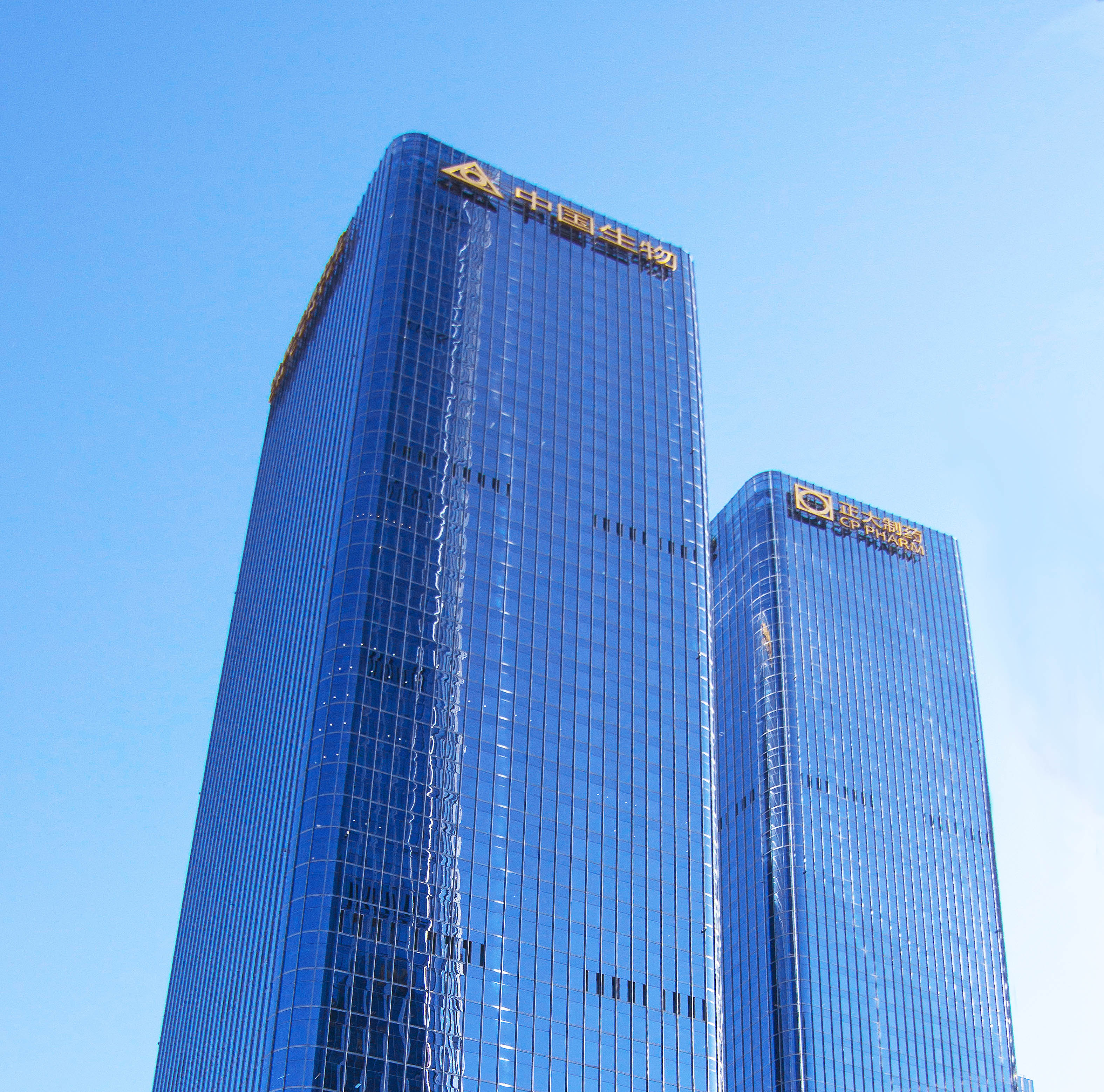 公司简介